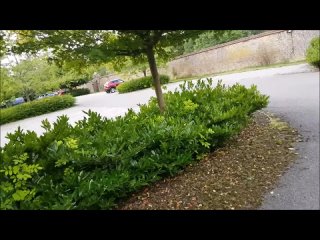 while no one sees fucking his girlfriend in the park | pickup, masturbation, hard sex